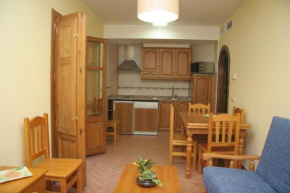 Гостиница Apartamentos Cañones de Guara y Formiga  Пансано